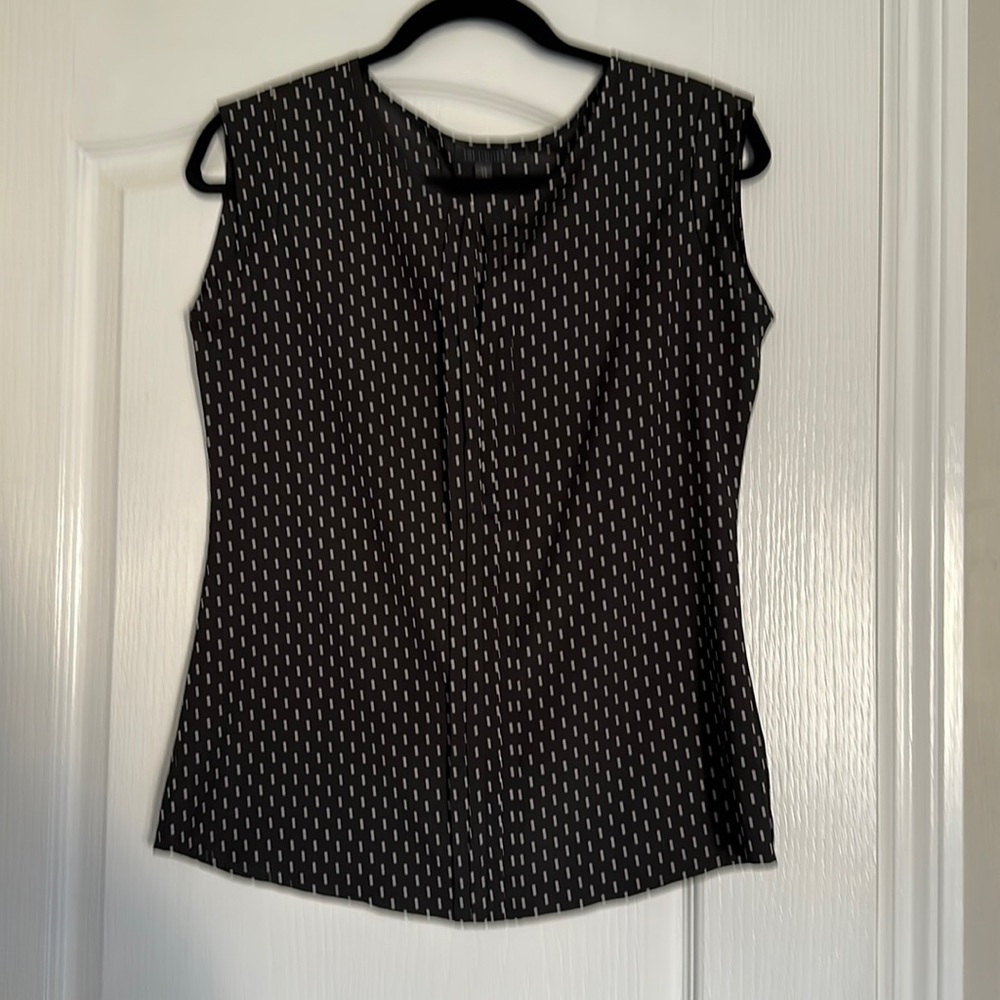 The Limited Blouse